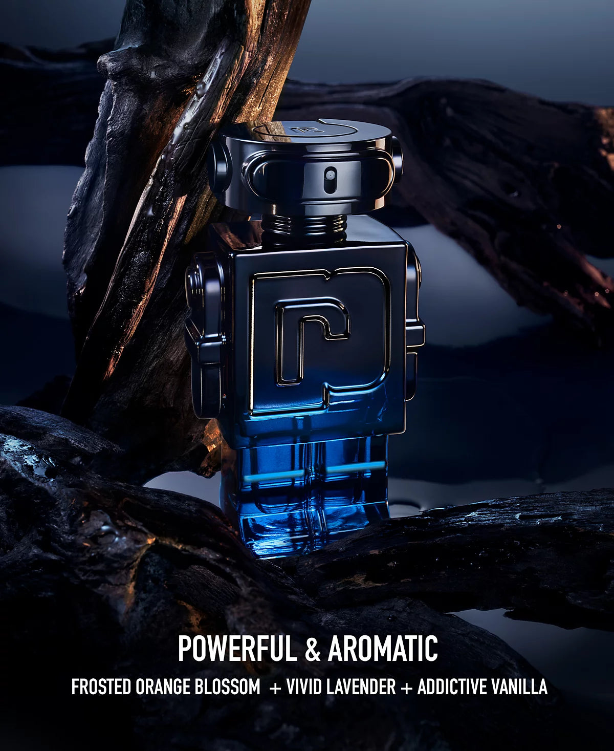 Versace Pour Homme Eau de Toilette Spray