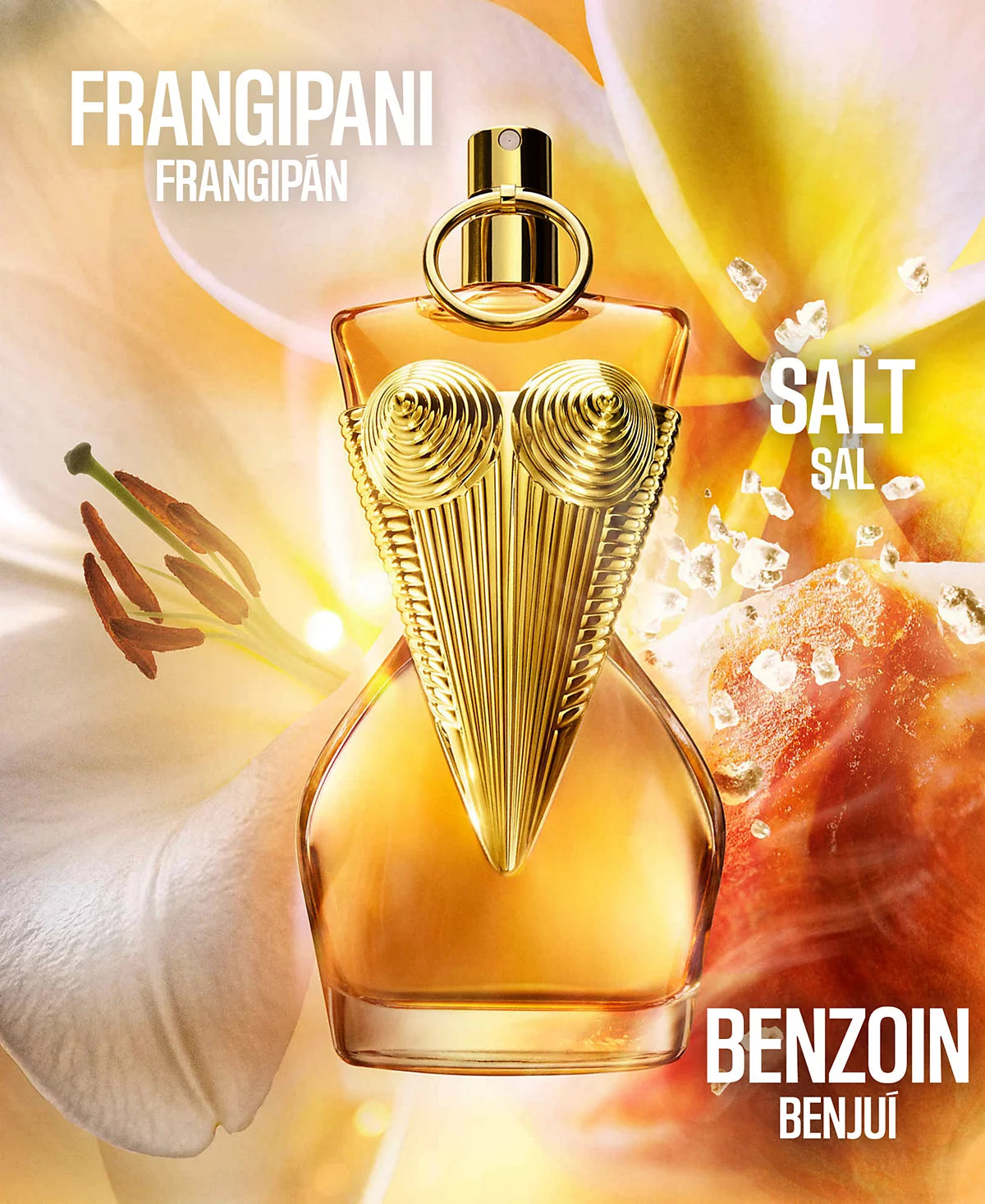 Divine Le Parfum Spray