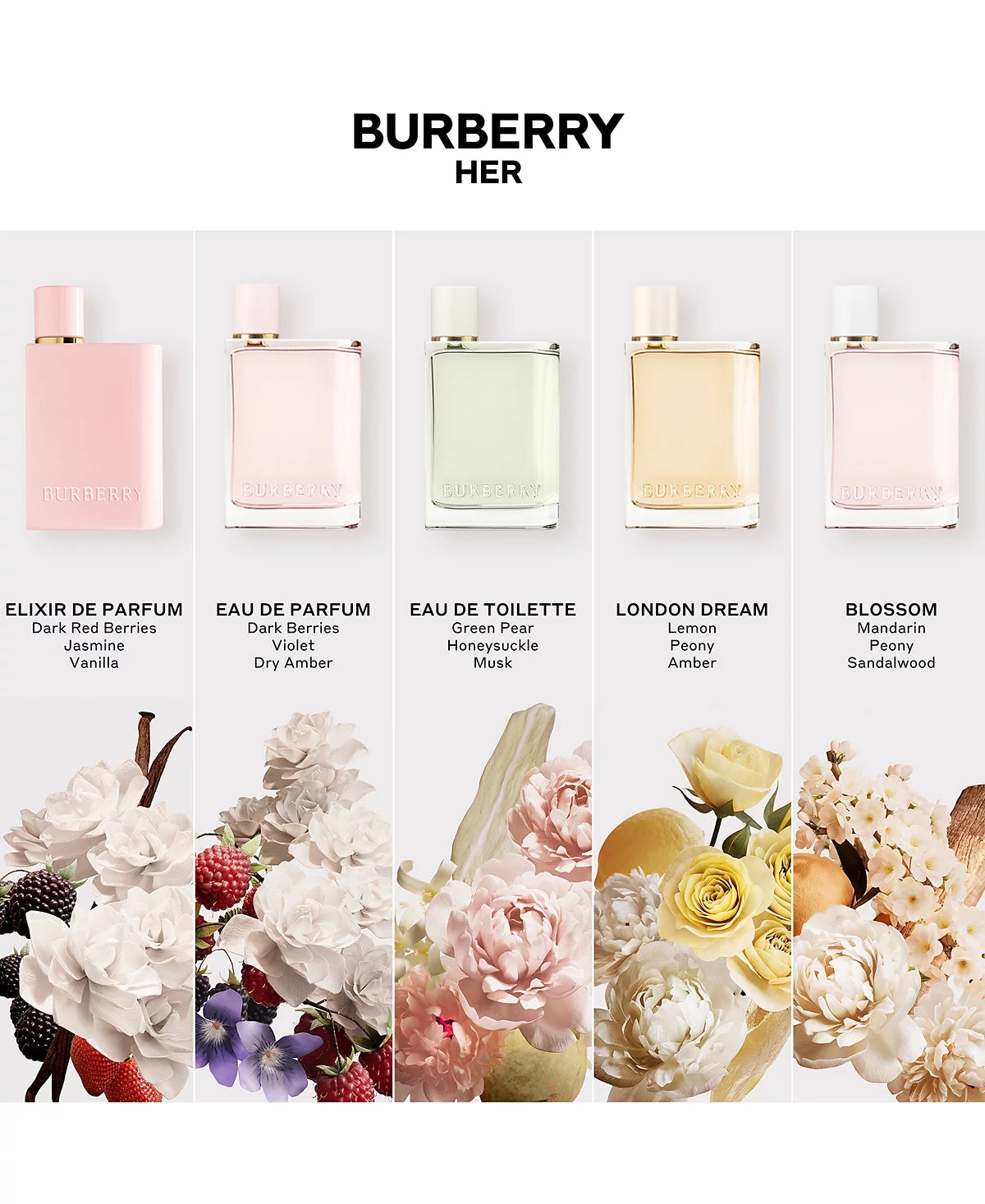 Classic perfume bottle with black and gold design