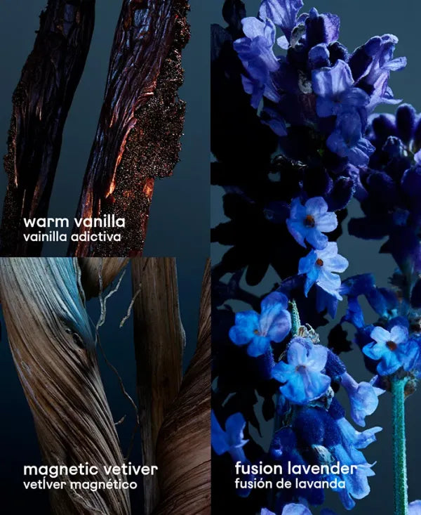 key fragrance notes of Paco Rabanne Phantom Parfum