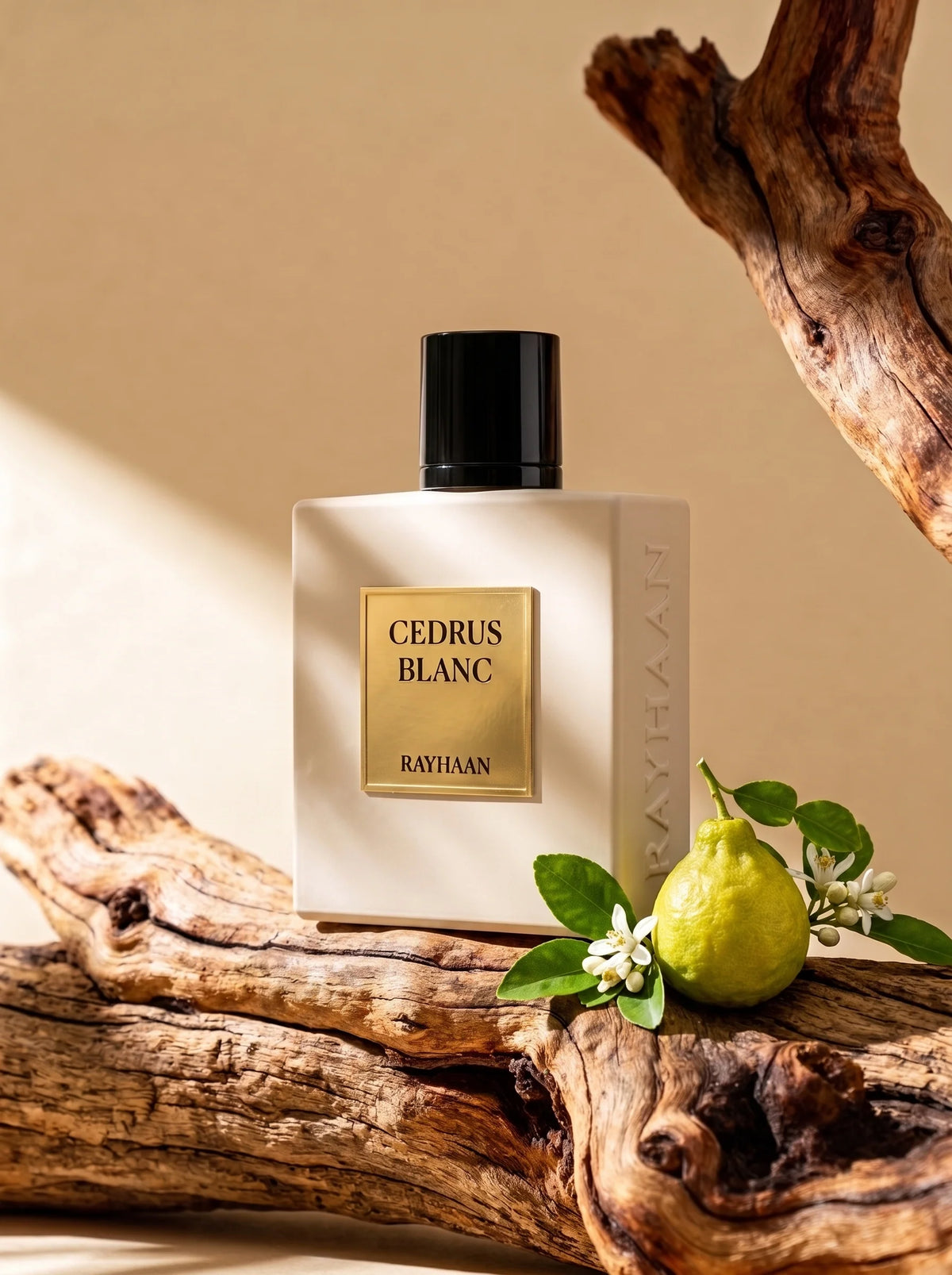 Cedrus Blanc Eau de Parfum Spray