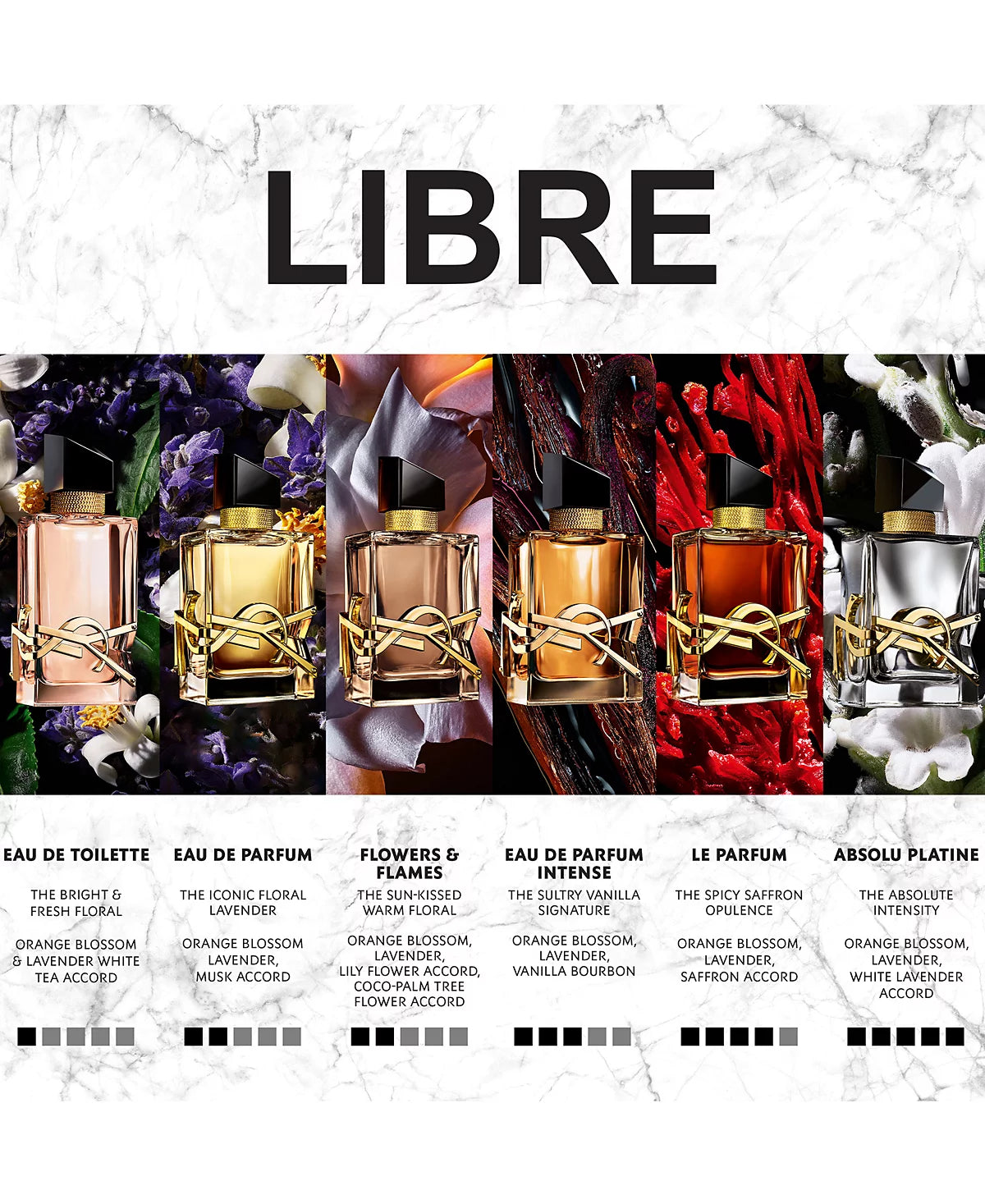 YSL Libre line: EDT, EDP, Flowers & Flames, Intense, Le Parfum & Absolu Platine editions.
