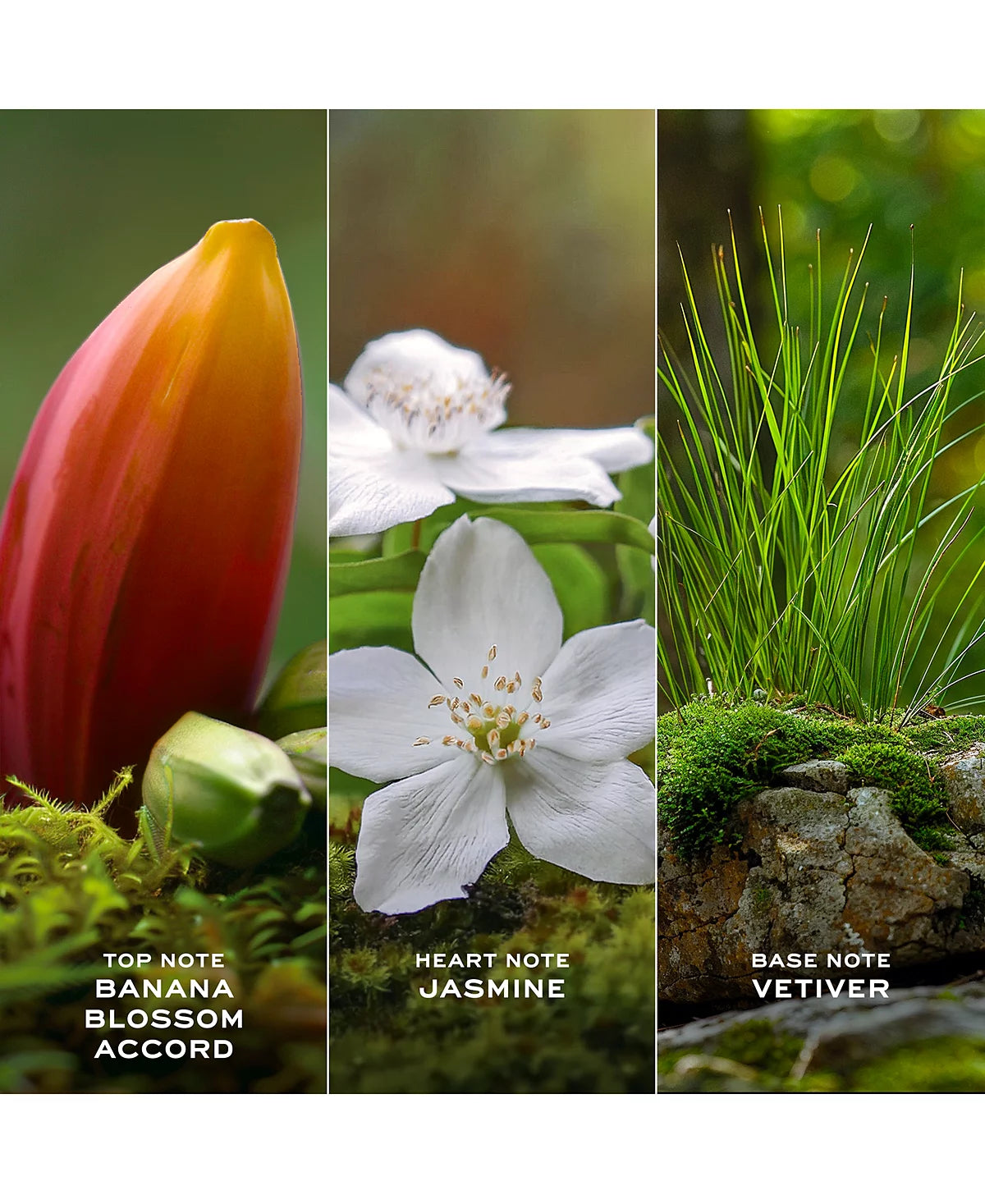 Marc Jacobs Daisy Wild Eau de Parfum Spray