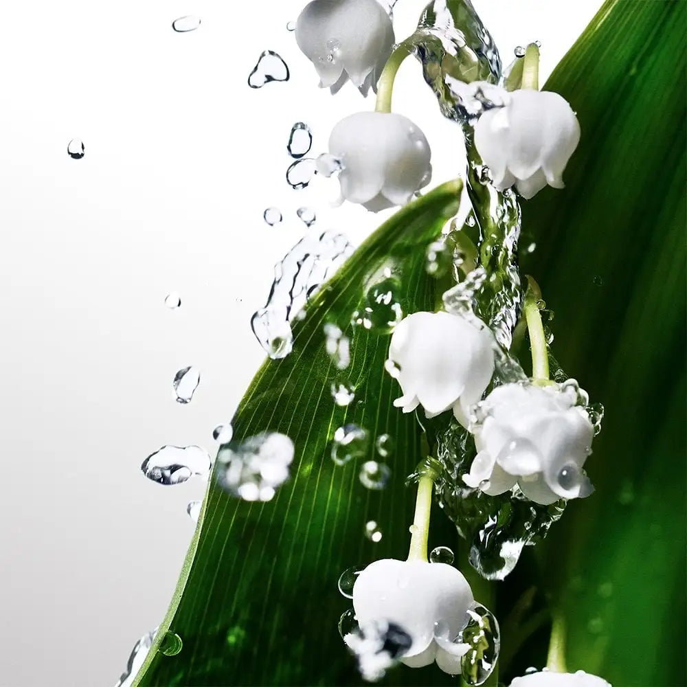 Davidoff Cool Water Eau de Toilette fresh oceanic design
