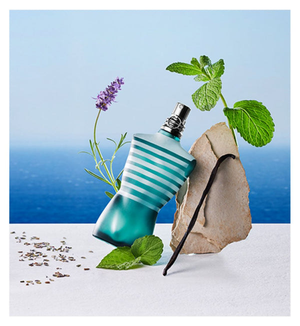 Le Male Eau de Toilette iconic and masculine scent
