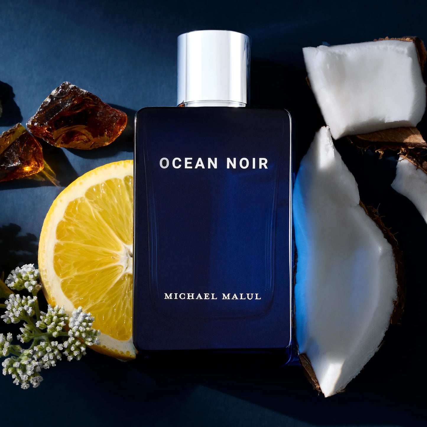 Ocean Noir Eau de Parfum Spray