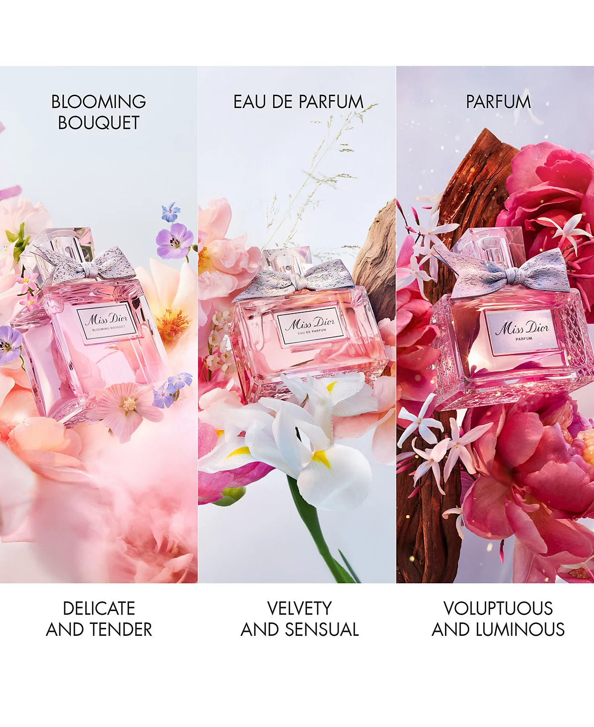 Miss Dior fragrance line bottles showcasing floral and elegant perfume designs.
