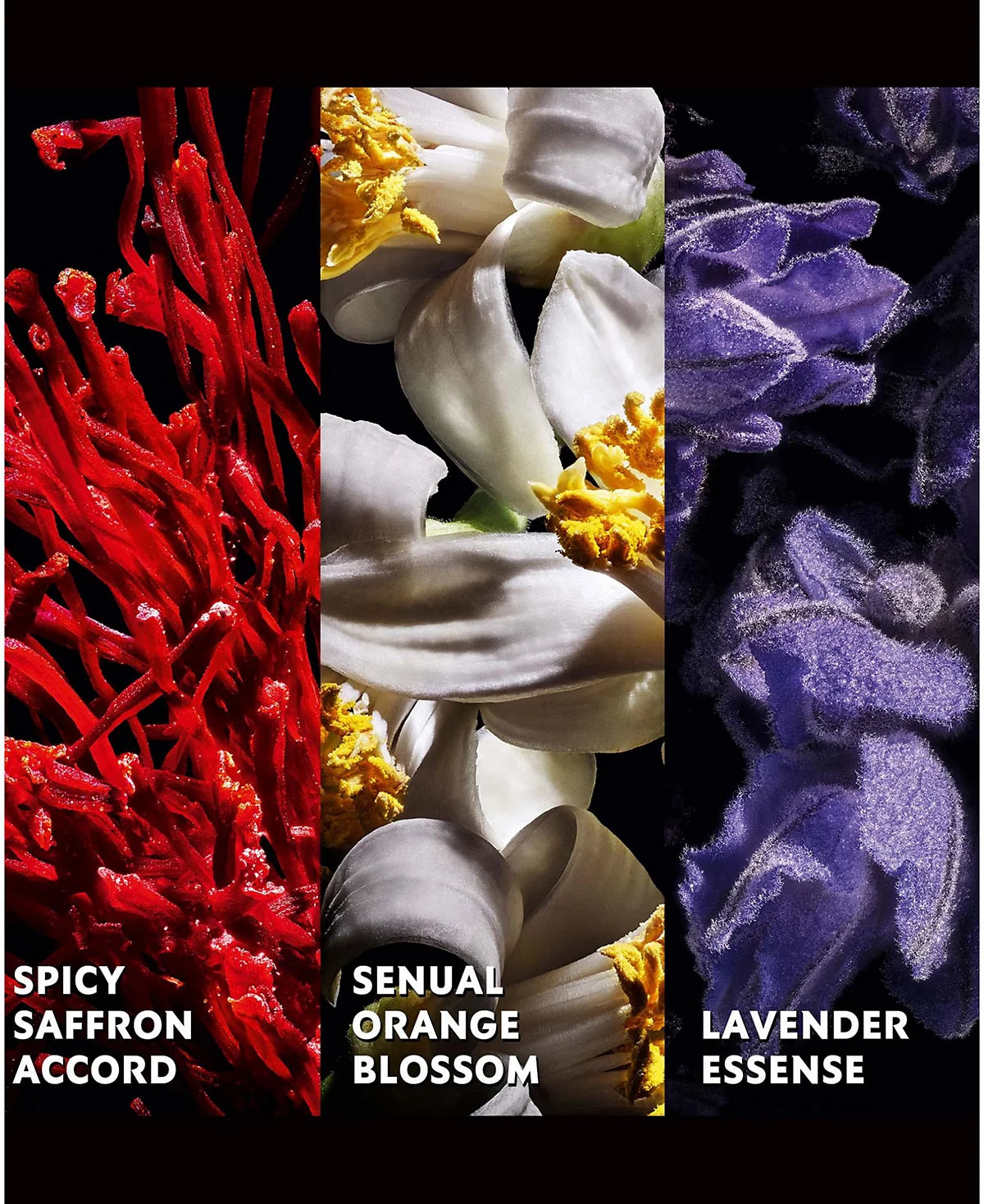 Key notes of Yves Saint Laurent Libre Le Parfum, a luxurious women's fragrance.
