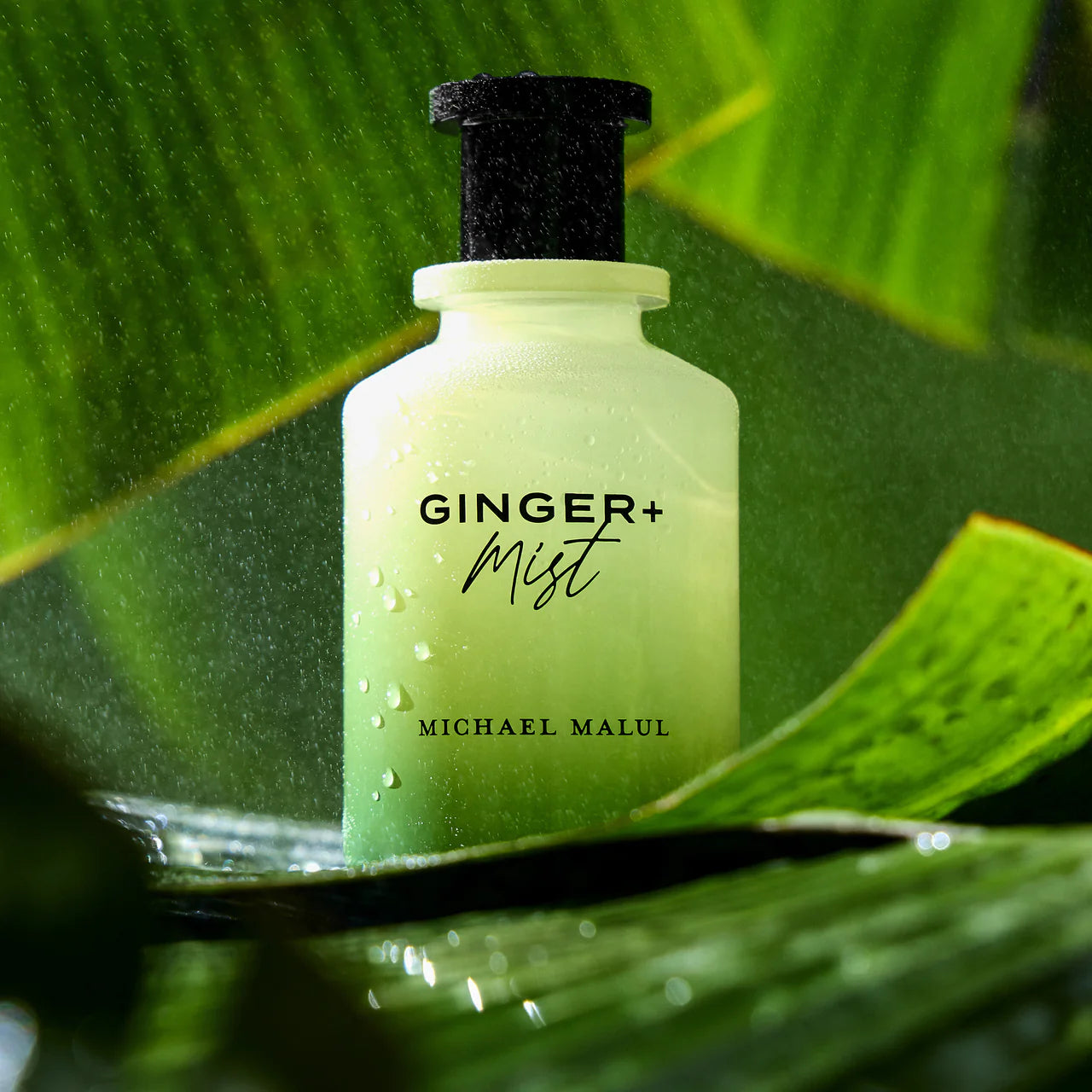 Michael Malul Ginger+Mist Eau De Parfum Spray