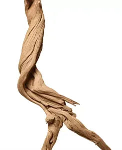 Twisted sculpted driftwood resembling a curled pillar art piece.
